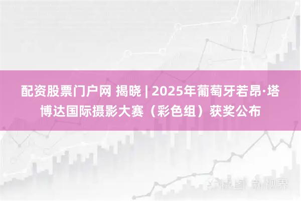 配资股票门户网 揭晓 | 2025年葡萄牙若昂·塔博达国际摄影大赛（彩色组）获奖公布
